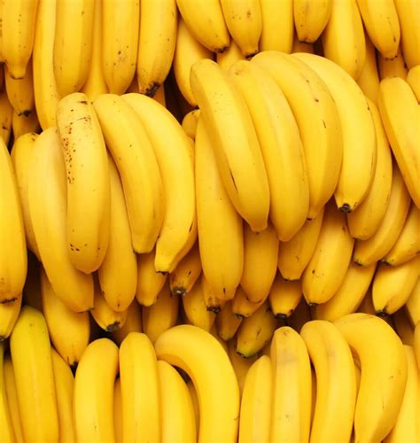 Banana brazil - Banana is one of the most consumed fruits in the world. It is the fourth most produced food product on the planet, after rice, wheat and corn. It was introduced in Brazil in the 16th …